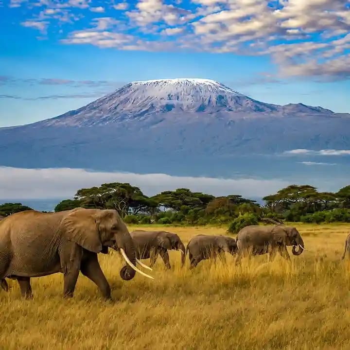 Mount Kilimanjaro